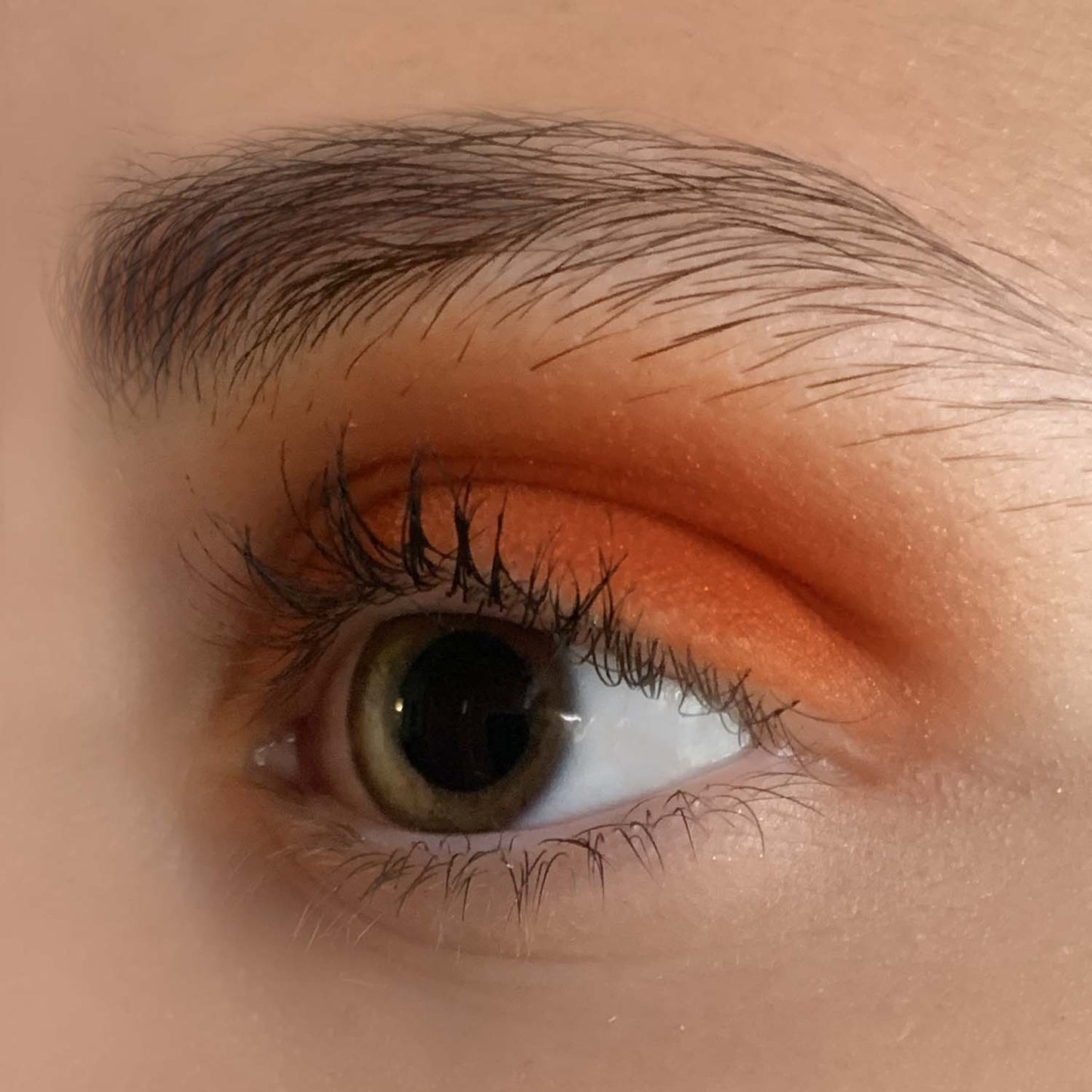 Talc Free Eyeshadow in Pumpkin